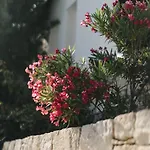 Cecilias Courtyard Country house *
