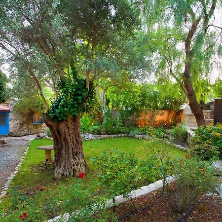 Cecilias Courtyard Летний дом *