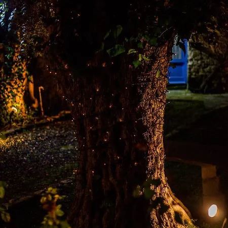 Cecilias Courtyard Venkovský dům