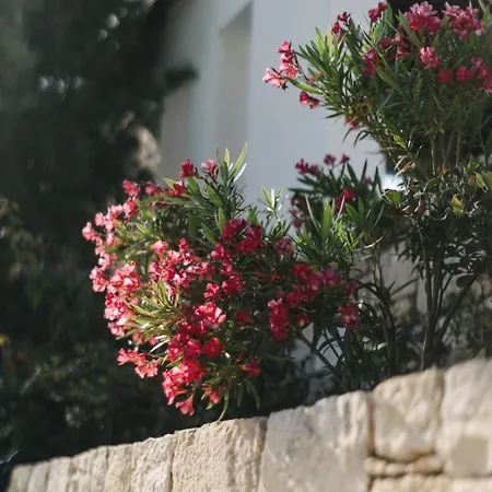 Cecilias Courtyard Venkovský dům *