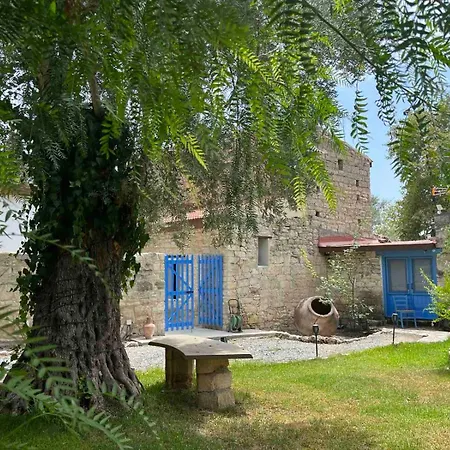 Cecilias Courtyard
