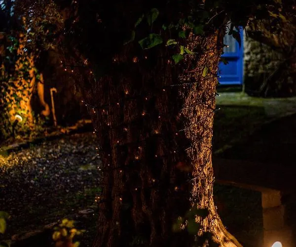 Cecilias Courtyard Landsted